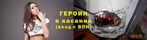ПСИЛОЦИБИНОВЫЕ ГРИБЫ Новозыбков