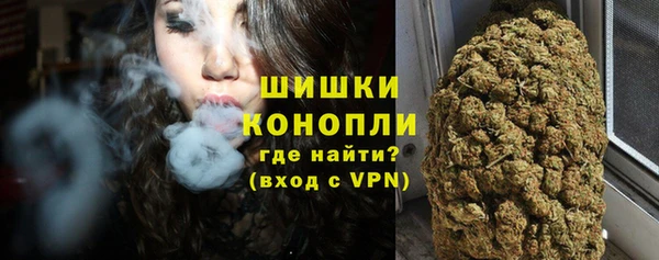 ПСИЛОЦИБИНОВЫЕ ГРИБЫ Новозыбков