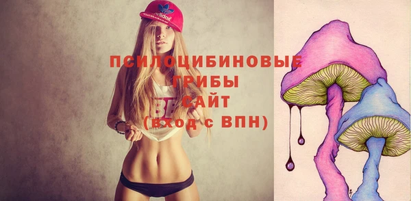 мескалин Новодвинск