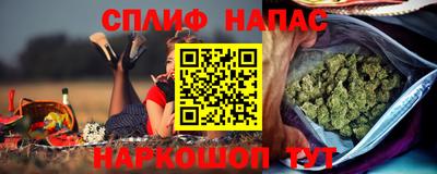 прущие грибы Абакан