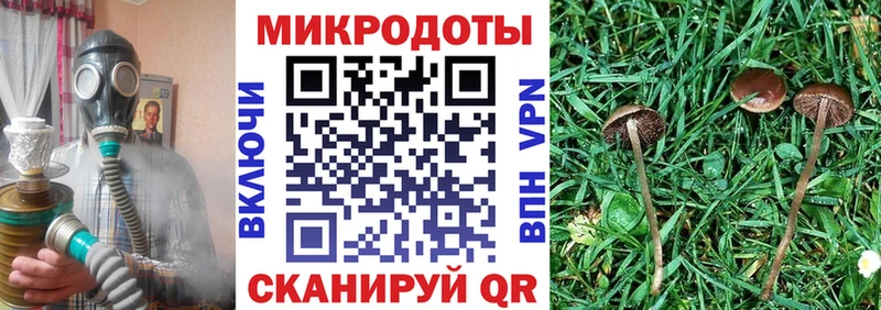 hydra ссылка закладки Удомля Псилоцибиновые грибы Magic Shrooms