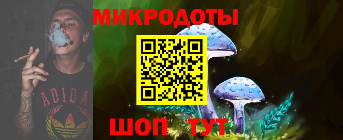 Галлюциногенные грибы Psilocybine cubensis Удомля